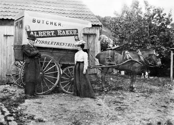Vereinigtes Königreich: Ein Metzgerwagen. Piddletrenthide, ca. 1900