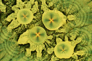 Ascorbinsäure/Natriummischung