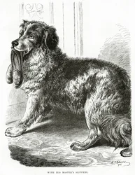 Mit den Hausschuhen seines Meisters (1902)