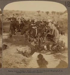 Bewässerung von Artilleriepferden, Welgelegen, Südafrika
