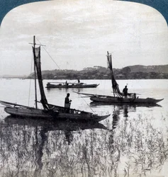 Fischerboote kehren bei Sonnenuntergang nach Yokohama zurück, Japan, 1904