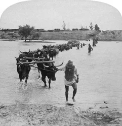 Durchquerung des Modder River, Burenkrieg, Südafrika