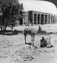 Blick nach Norden zum Tempel von Sethos I., Theben, Ägypten, 1905