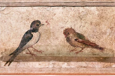 Schwalbe und Spatz, römisches Wandgemälde aus Boscoreale bei Pompeji, 1. Jahrhundert