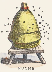 A: Bienenstock