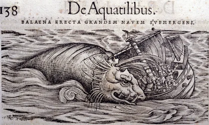 Ein Wal zerstört den Rumpf eines Bootes und verursacht dessen Untergang. Gravur in Historia Animalium von Conrad Gesner (1516 - 1565), Tiguri