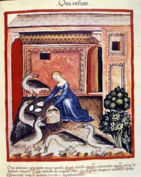 Eine junge Frau sammelt Schilf-Eier. Illumination aus der Milchwirtschaft der Medizin und Diätetik „Tacuinum sanitatis“