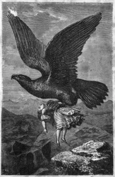Entführung eines Kindes durch einen Königlichen Adler
