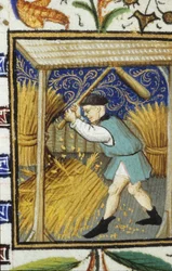 Allegorische Darstellung des August. Ein Bauer, der Weizen schlägt. Miniatur eines Manuskripts aus dem 14. Jahrhundert