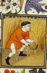 Allegorische Darstellung des Juli. Ernte: ein Bauer mäht goldenes Weizen. Miniatur eines Manuskripts aus dem 14. Jahrhundert