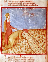 Am Eingang des Paradieses trifft Dante Mathelda und trinkt Wasser aus dem Eunoe-Fluss, das die Erinnerung an gute Taten stärkt. Illustrierte Seite eines Gesangs des Paradieses aus der „Divina Commedia“ von Dante Alighieri (1265-1321). 14. Jahrhundert