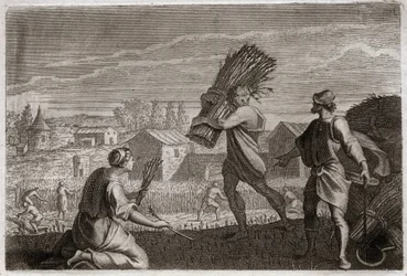 Royaumont-Bibel, Altes Testament: Ruth folgt ihrer Schwiegermutter Noemi ins Land Juda und erntet die Weizenfelder von Boas. Illustration von 1811