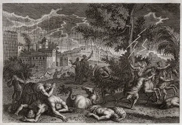 Bibel von Royaumont, Altes Testament: Die zehn Plagen Ägyptens. Illustration von 1811.