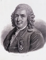 Carl von Linné, schwedischer Naturforscher und Schriftsteller (1707 - 1778) - in „Porträt nützlicher Männer“
