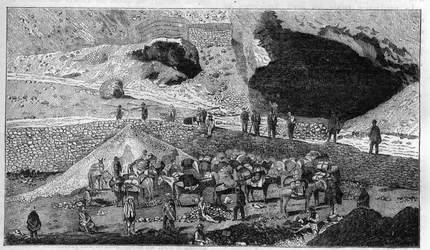 Silbermine Cerro de Pasco in Peru: Transport von Erz auf dem Rücken von Maultieren. Gravur in „La Nature“