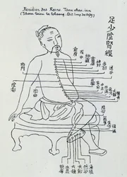 Chinesische Akupunktur: der Meridian der Nieren