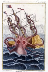 Kolossaler Oktopus (Oktopus, Riesenkalmar, Kraken), der ein Schiff (Schiff, Schiff) angreift - Stich aus dem Buch von Pierre Denys-Montfort (Denys de Montfort 1766-1820) „Naturgeschichte der Weichtiere“, Originalausgabe von 1802