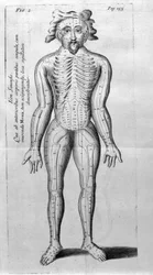 De Acupunctura von W. Ten Rhijne. London 1683. Erster westlicher Text über Akupunktur