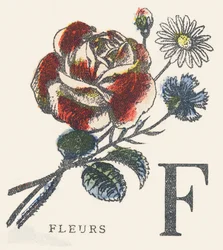 F: Blumen