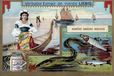 Fischerboote und Fische (Muräne, Sardine, Sardelle) - Chromo. Liebig, um 1900