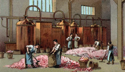 Blumendestillerie zur Herstellung von Blumenöl und -wasser. Chromolithographie aus dem späten 19. Jahrhundert.