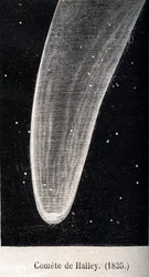 Halleyscher Komet 1835 - Gravur um 1867