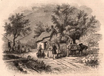 Apfelernte in der Normandie, Frankreich