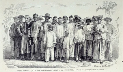 Geschichte der französischen Kolonien: Chinesische Einwanderer arbeiten in Guadeloupe. Zeichnung nach Fotografie des späten 19. Jahrhunderts