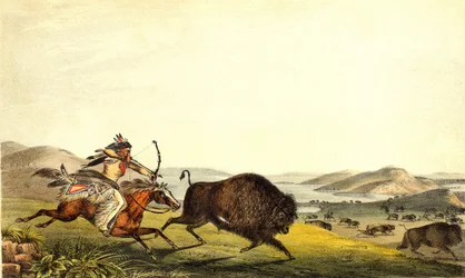 Bisonjagd in Nordamerika. 19. Jahrhundert.