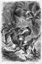 Illustration aus der Ausgabe von 1862 von „Le Tour du monde“, die einen Kampf zwischen einem Dayak und einem Orang-Utan auf der Insel Borneo darstellt. Gravur