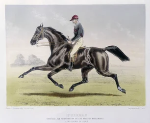 Inkerman - in „Der Centaur“