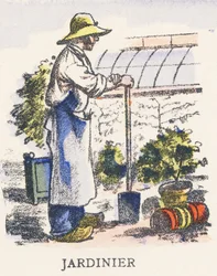 J: Gärtner
