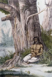 Meditation am Fuße eines Baumes, Indien.