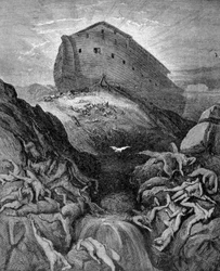 Noah sendet eine Taube zur Erde, gemäß Genesis. 19. Jahrhundert Gravur