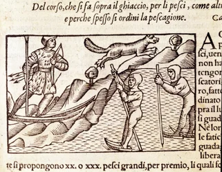 Norwegische Jäger auf Skiern. Gravur von Olaus Magnus (1490 - 1557), schwedischer Geistlicher und Geograph, „Historia de Gentis Septentrionalibus“, Venedig