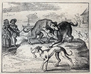 Altes englisches Sprichwort: Zwei Hunde streiten um einen Knochen und der dritte nimmt ihn weg