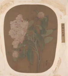 Pfingstrosenblüte und Blätter