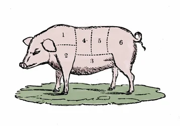 Schweinefleischstücke.
