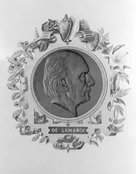 Porträt von Lamarck (1744 - 1829)
