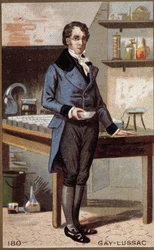 Porträt von Louis-Joseph Gay-Lussac (Louis Joseph Gay Lussac) (1778 - 1850), französischer Physiker und Chemiker.