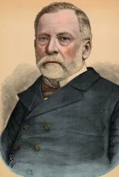 Porträt von Louis Pasteur (1822-1895), französischer Chemiker und Biologe