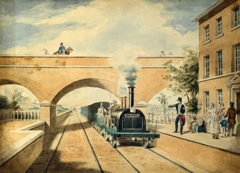 Rothirsch, ca. 1850