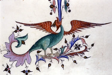 Darstellung eines Drachenflügels. Miniatur aus einer Handschrift des 14. Jahrhunderts. Mailand, Biblioteca Nazionale Braidense.