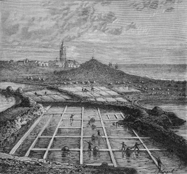 Salzarbeiter in einem Salzsumpf in Bourg de Batz, nahe Croizic (Bretagne) während der Saunage-Periode. In „Wunder der Industrie“ von Louis Figuier.