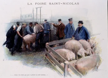 St. Nikolaus-Markt: Schweinemarkt in der Bretagne