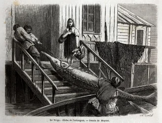 Störfischerei an der Mündung des Flusses Wolga. Gravur zur Illustration der Reise auf der Wolga von M. Moynet, im Jahr 1864, in „Le tour du monde, nouveau journal des voyages“, veröffentlicht unter der Leitung von Edouard Charton