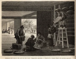 Die Zucht und der Handel mit Seidenraupenkokons: eine Magnanerie für die Seidenraupenzucht, mit im Hintergrund der Anbau von Maulbeerbäumen, die für die Fütterung von Bombyx unerlässlich sind. Gravur zur Illustration der Reise nach Japan, von Aime Humbert,