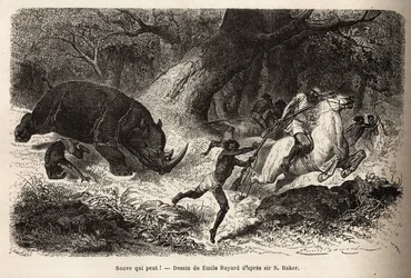 Der Angriff des Nashorns, das die Jäger während der Suche nach dem Autor und seinen Führern umwirft und einschließt. Stich zur Illustration der Erforschung der abessinischen Nebenflüsse des Nils durch Sir Samuel W. Baker in den Jahren 1861-62