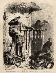 Der Stand eines Metzgers in den Vororten von Sainte Martha (Santa Marta, Kolumbien), die Ochsen bluten und die Haut wird sorgfältig gespannt, das Fleisch wird in Streifen geschnitten und gesalzen und getrocknet, der Rest, ungenießbar, wird auf den Boden ge
