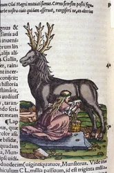 Der Rentierhandel nach Historiae animalium von Konrad Gesner, Tiguri